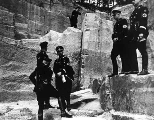 в поисках дори в поисках дори